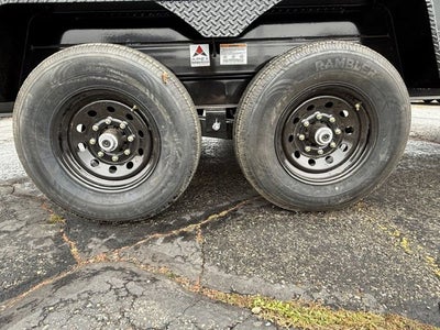 26 IRON BULL GOOSE DUMP 14K Base